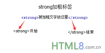 strong 标签元素 - html strong教程