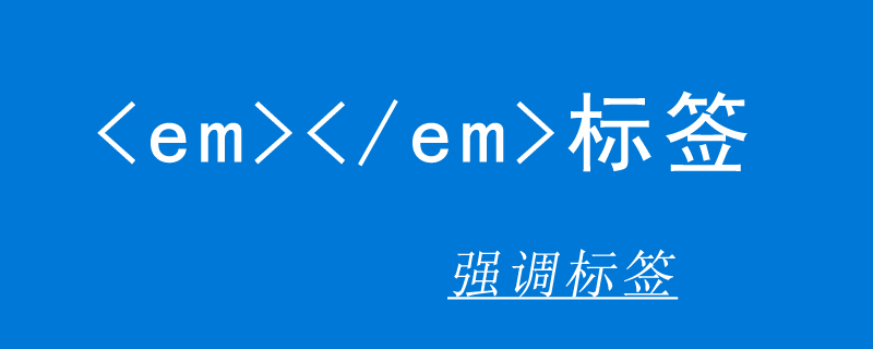 em 标签