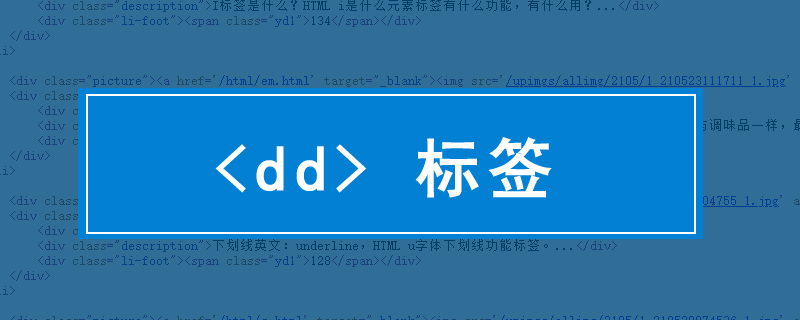 dd 标签