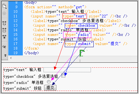 input表单标签type (text submit checkbox radio)控件