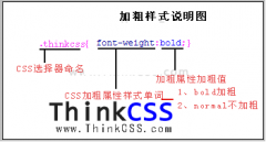 font-weight CSS 粗体文字加粗