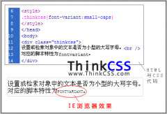 text-transform CSS英文字母大小写