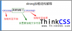 html strong加粗字体粗体标签