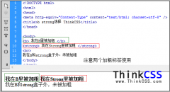 b与strong HTML选哪个加粗标签布局HTML网页