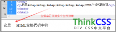 html空格 字符