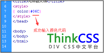 成功输入颜色代码