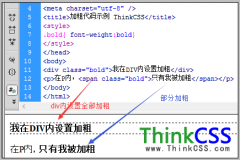 css设置字体加粗代码