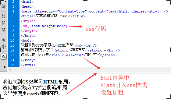 html字体加粗用css设置文字粗体样式